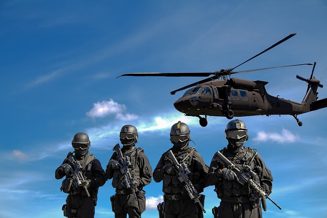 Securing Tomorrow: The Role of a Private Military Company